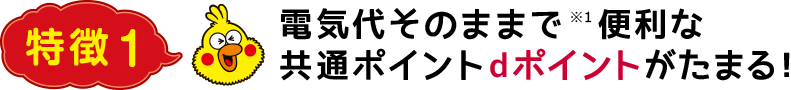 特徴1 電気代そのままで※1 便利な共通ポイントdポイントがたまる！